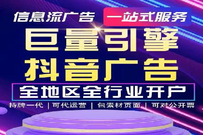专业SEM服务公司案例分析报告